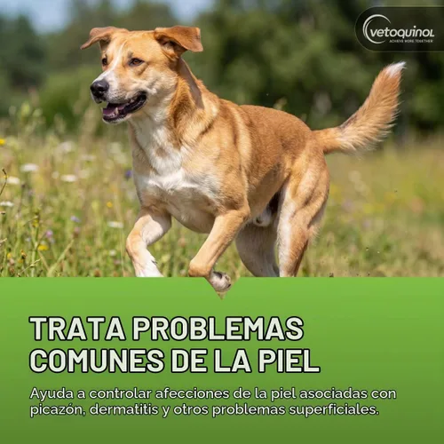 Vista 4 de Vetoquinol Sebozole Shampoo - Champú de limpieza profunda para perros, gatos y caballos, fórmula suave con ingredientes efectivos para uso