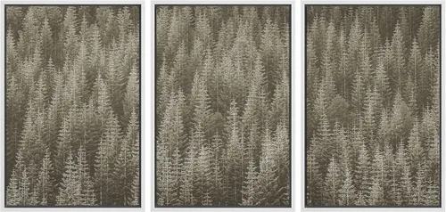 Vista 18 de SIGNWIN Lienzo enmarcado para pared, juego de decoración de guardería de bosques, niebla y niebla sobre bosque de montaña oscura, naturaleza, arte