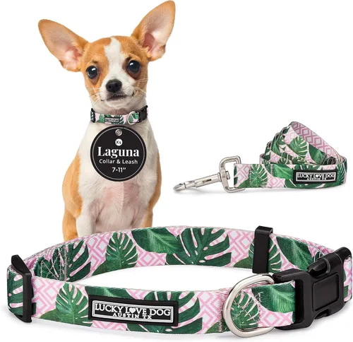 Vista 60 de Lucky Love Dog - Collar para perras pequeñas, diseño Blackbird de estampado alegre con flores de primavera y verano, talla XS Collar Blackbird