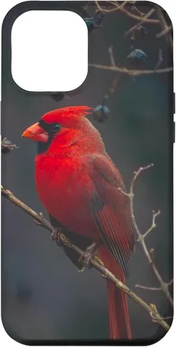 Vista 26 de Funda para iPhone 16 Cardinal Bird
