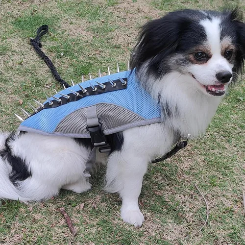 Vista 2 de Chaleco de enfriamiento para perro, arnés de verano para pequeño, mediano, reflectante, sin tirones, con asa y protección contra picos