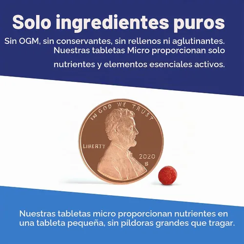 Vista 4 de Superior Source Tableta multivitamínica de ácido fólico B12/B6, 1000 mcg/2 mg/800 mcg, 60 unidades Fórmula sublingual con cianocobalamina B-12