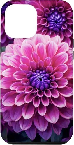 Vista 25 de Dahlia Flower Floral Nature Garden Funda con diseño granate rosa y morado para iPhone 16