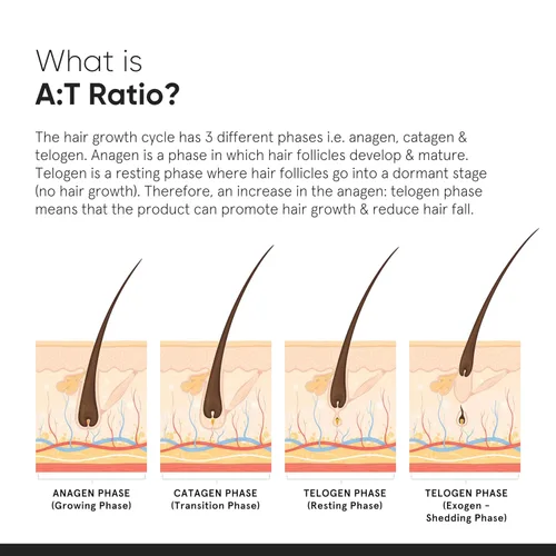 Vista 5 de Minimalist Suero de densidad capilar 18% Con Procapil, Capixyl, Redensyl, Anagain y Baicapil para el control de caídas del cabello Mujeres