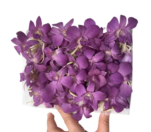 Vista 9 de Miami Fresh Orchid Flower OrchidClub USA Sunne Tropical Cabeza de floración suelta DIY Lei comida bebida decoración púrpura (Queen Purple Sonia 50)