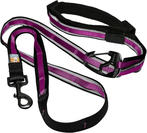 Vista 9 de Kurgo Correa cuántica de 6 en 1, correa para perros manos libres, cinturón para correr, estilo bandolera y cinturón de cintura, reflectante, clip
