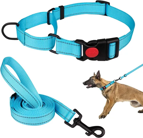 Vista 19 de Set de Collar y Correa Martingale para Perros Collares de Martingale para Perros Collar de Martingale Reflectante para Perros Pequeños, Medianos