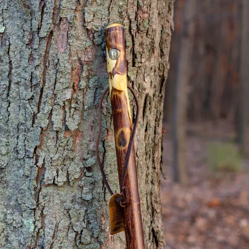 Vista 2 de Brazos Rustic Wood Walking Stick, Hawthorn, Traditional Style Handle, for Men & Women, Made in The USA