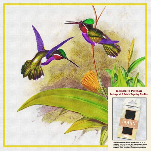 Vista 28 de Canguros australianos John Gould Counted Patrón de punto de cruz