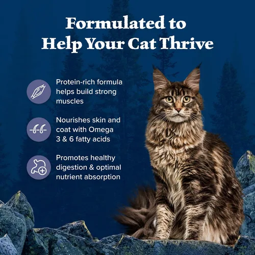 Vista 4 de Blue Buffalo Wilderness - Dieta Evolutiva Natural de la Naturaleza, Alimento Seco Natural para Gatos Adultos Alto en Proteínas y Sin Granos, Sabor