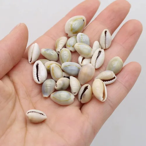 Vista 6 de Acuario de concha natural para pecera, cuentas hechas a mano para hacer joyas, manualidades, pulsera, accesorio