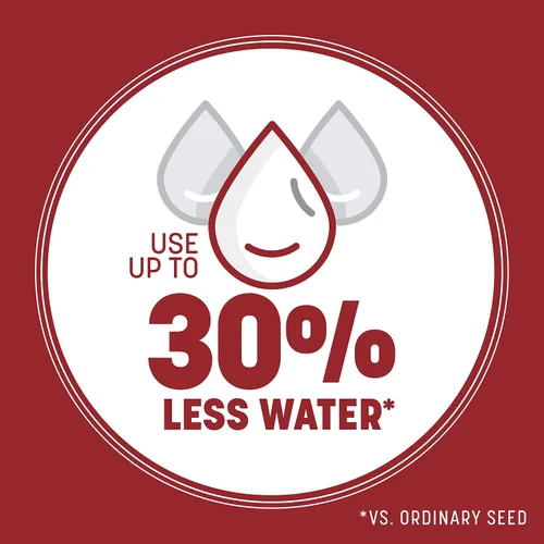 Vista 3 de Pennington Smart Seed Raigrás perenne 3 libras