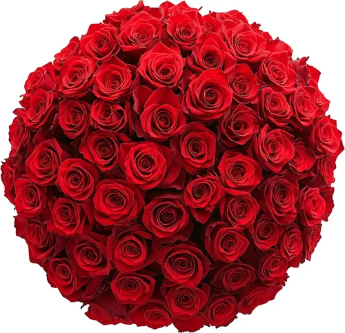Vista 11 de GlobalRose Ramo de 50 rosas surtidas, rosas de origen responsable, flores frescas, ramo fresco de flores seleccionadas a mano para el día