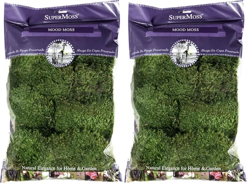 Vista 8 de SuperMoss - Musgo decorativo preservado., Verde fresco