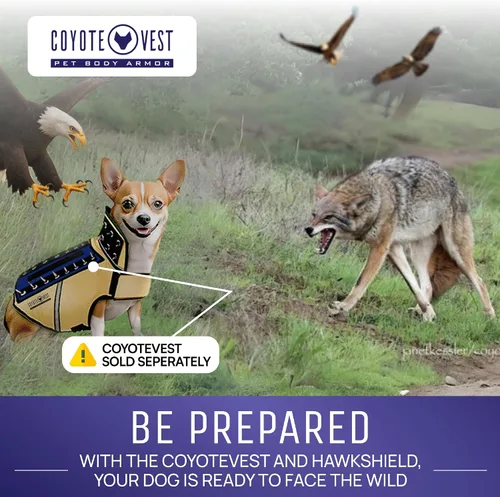 Vista 9 de HawkShield - Almohadilla para CoyoteVest o chaleco de espigas, chaleco de arnés protector para perro, complemento para proteger a tu mascota de aves