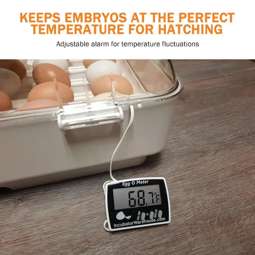 Vista 3 de Egg-O-Meter™ - Termómetro de huevo con pantalla digital grande con memoria mínima/máxima - Termómetro digital con sensor de temperatura