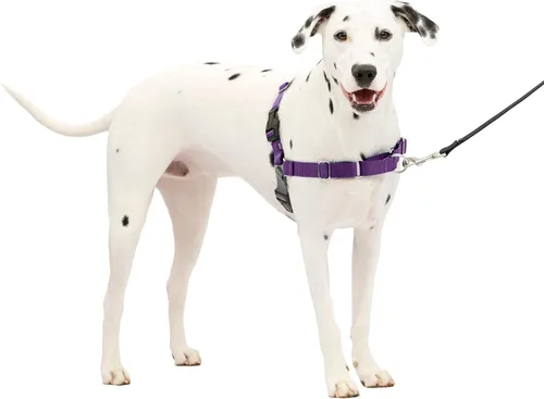 Vista 32 de PetSafe Easy Walk - Arnés para perro, sin tirones, gris carbón Carbón/Negro