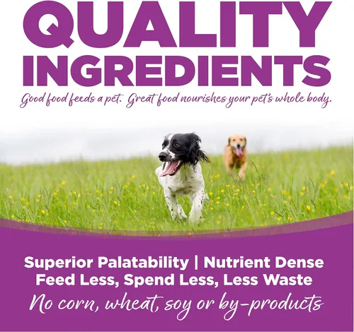 Vista 3 de Alimento seco para cachorros de raza grande NutriSource, pollo y arroz Tamaño: bolsa de 1.5 lb