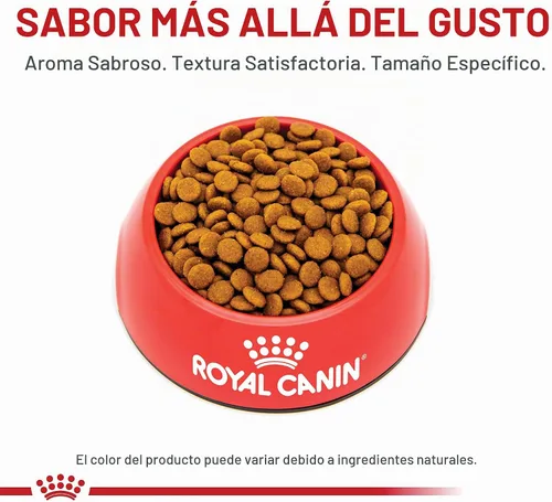 Vista 8 de Royal Canin Cuidado del cabello y la piel Alimento seco para gatos, bolsa de 3.5 libras Diseñado para pieles sensibles, abrigo brillante