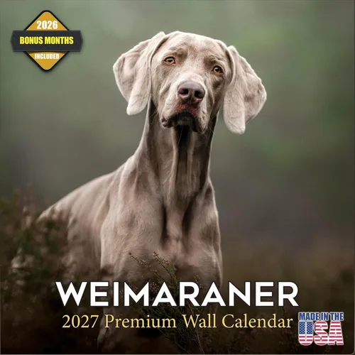 Vista 20 de Calendario de Lebrel Afgano 2025 2026, calendario mensual de pared de raza canina, 12" x 18" abierto, papel grueso sin traspaso, ideal para regalo