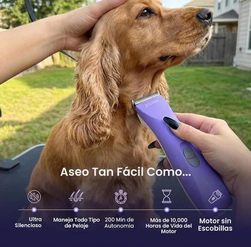 Vista 3 de Falcon 2 velocidades, cortapelos inalámbricos para perros, aseo Unidad de hoja desmontable de bajo ruido y alta potencia construida para días