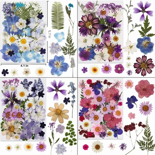 Vista 3 de 420 flores secas prensadas para resina, flores secas naturales reales a