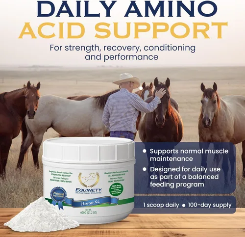 Vista 2 de Productos de Equinety Horse Horse Joint Supplement for Cell & Hoof Support, Coat Supplement for Horses & Weight Gain Supplement with No Soy or