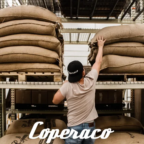 Vista 8 de Coperaco Supremo colombiano, café en grano entero, rico - cuerpo completo, perfil de taza que suele ser jugoso, afrutado y complejo, caramelo