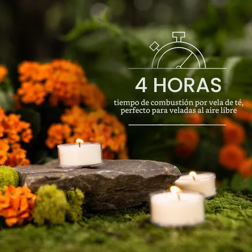 Vista 3 de Murphy's Naturals velas de té repelentes de mosquitos – 12