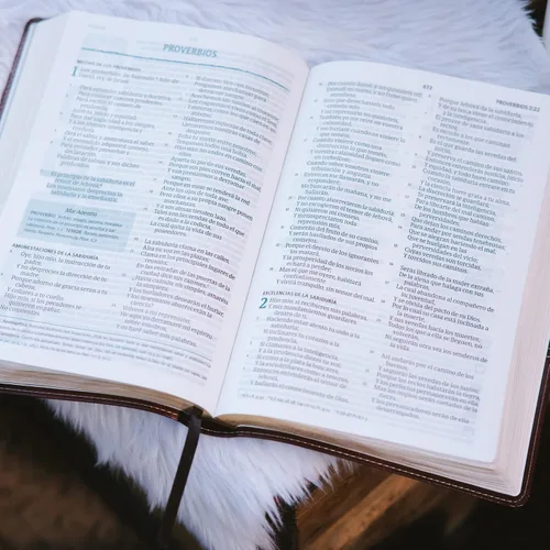 Vista 8 de STARKENBURG COMPANY Biblia Español Personalizada: crea tu propio diseño grabado personalizado con un diseñador, Letra Grande Biblia Santa