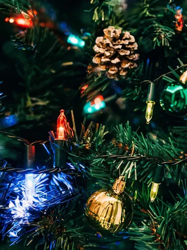 Vista 3 de Twinkle Star Luces de Navidad para Exteriores a Batería 50 LED Mini Cadena de Luces con 8 Modos, 16 pies Luces de Hadas Impermeables para Jardín