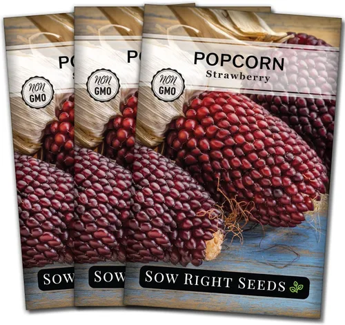 Vista 8 de Sow Right Seeds - Semilla de maíz de fresa para plantar - Paquete de reliquia sin OMG con instrucciones para plantar un huerto casero - Cultiva tus
