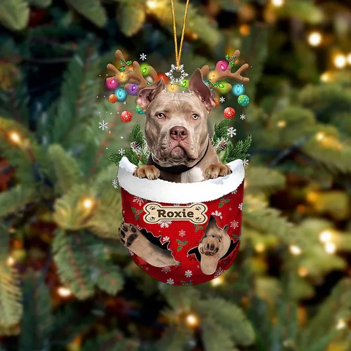 Vista 203 de LOVELYPOD Adorno Personalizado de Perro Affenpinscher, Adornos de Navidad Affenpinscher Regalo para Amante de Perros, Adorno de Navidad Colgante