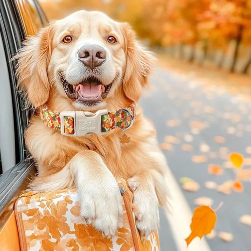 Vista 5 de Collar de otoño para perro, lindo collar de cachorro con hojas de otoño, ligero, cómodo, ajustable, para mascotas pequeñas, medianas y grandes