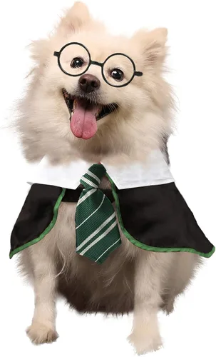 Vista 9 de Disfraz Coomour de bruja, para perro, gato, cachorro, ropa para perros pequeños, medianos, grandes, camisa con gafas