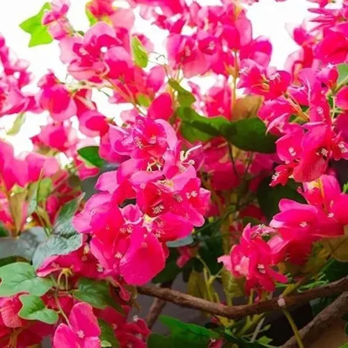Vista 5 de Flores de rosas artificiales, 47.2 pulgadas, flores artificiales de seda de buganvilla, ramas de árbol, guirnaldas de flores de seda de buganvilla