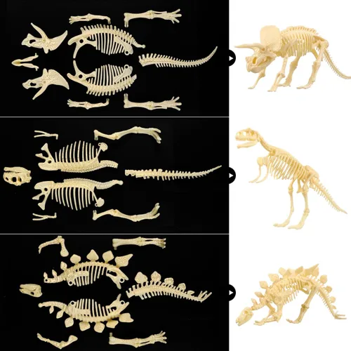 Vista 2 de Figura para armar Nuolux, 3 piezas 4D fósil de esqueleto de dinosaurio para niños