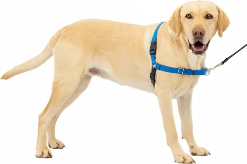 Vista 45 de Arnés de paseo fácil de PetSafe, Negro/Plateado
