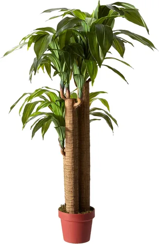 Vista 5 de Nearly Natural, Green 4855 35 pulgadas. Sansevieria con maceta negra
