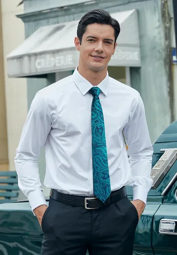 Vista 185 de HISDERN Corbatas para hombre, corbata de cachemira y bolsillo cuadrado tejido clásico floral para hombre, corbata de fiesta de boda
