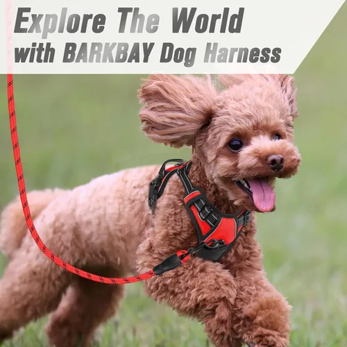 Vista 177 de BARKBAY - Arnés para perro sin tirones con clip frontal, material resistente y reflectante, asa de fácil control para pasear perros grandes