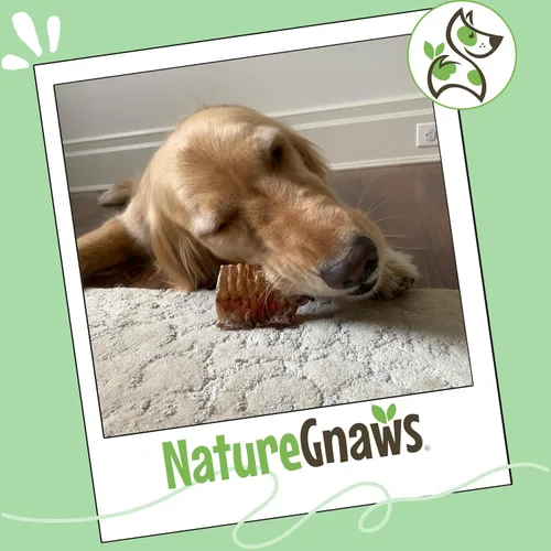 Vista 7 de Nature Gnaws Masticables de tráquea de ternera de 3 pulgadas, 6