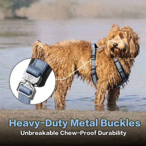 Vista 4 de Arnés para Perro PAWS PASSION para Perros Extra Grandes, Arnés para Perro Sin Tirones Fácil de Caminar con Herrajes Metálicos, Diseño Ergonómico
