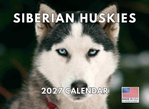 Vista 67 de Calendario mensual de pared Airedale Terrier Dog 2027