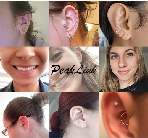 Vista 6 de PEAKLINK - Piercing de aro para la nariz de 20 g, 18 g, 16 g, 14 g, 12 g, 10 g, 8 g, de acero inoxidable con bisagras, segmento sin uniones
