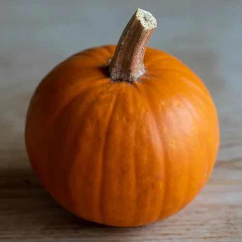 Vista 2 de Seed Needs Semillas de calabaza para plantar calabazas pequeñas de tarta de azúcar, semillas de verduras sin OMG y sin tratar para plantar un huerto