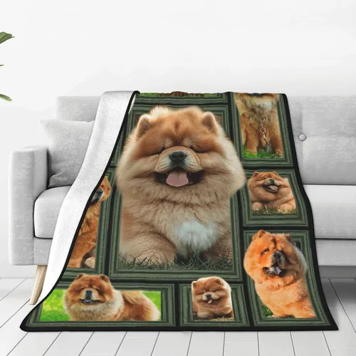 Vista 13 de Manta decorativa de béisbol – Cómodo forro polar de franela de felpa, ligera, cálida, suave, esponjosa, difusa, 40 x 50 pulgadas para niños, niños