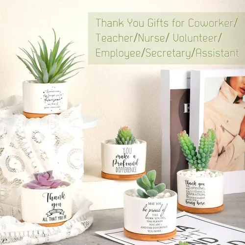 Vista 4 de Yaomiao 20 piezas de regalo de la semana de CNA, regalos de agradecimiento a los empleados, regalos de plantas suculentas a granel para mujeres