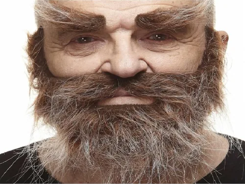 Vista 11 de Mustaches Fake Facial Hair Set, Beard, Eyebrows, Self-Adhesive Rey medieval negro